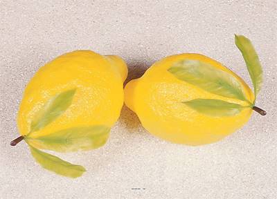 Citrons jaunes géants factices x2 H 260x150 mm plastique soufflé