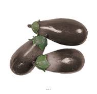Aubergines factices x3 L 135x60 mm plastique soufflé
