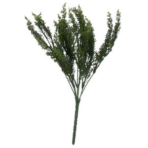 Setaire Isolepsis factice H 35 cm magnifique buisson tres fournie à piquer