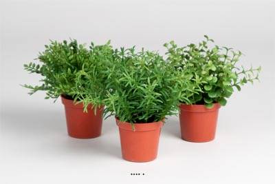 Herbes variées factices en pot mini plantes assorties le lot de 3 pots Feuillage plastique H 15 cm