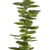 Guirlande factice ramifiée de feuilles de Peperomia Vert Olive H 180 cm magnifique