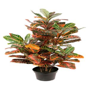 Croton plante factice H 100 cm D 65 cm tres dense en pot