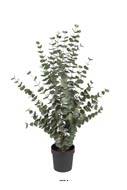 Eucalyptus factice en pot H 110 cm, D 70 cm