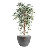 Ficus Benjamina factice Panache grande feuille 1 tronc naturel en pot tronc naturel H 120 cm Blanc-v