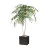 Palmier Phoenix factice H 225 cm 2 troncs 2660 feuilles PVC Anti-UV dans un pot