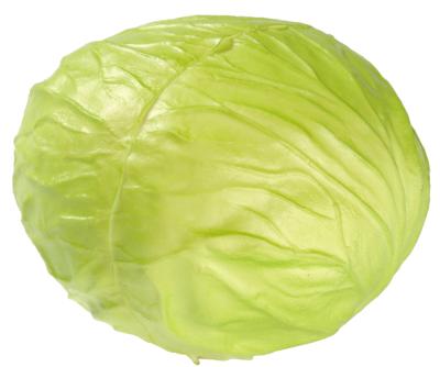 Salade Iceberg factice D 15 cm touché réel
