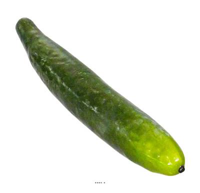 Concombre lesté artificiel D 4 cm L 26 cm touché réel