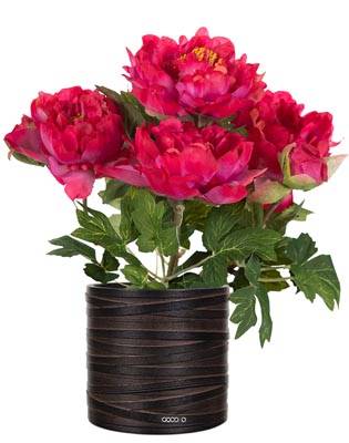 Pivoine factice en pot H 35 cm 4 fleurs et 2 boutons Rose fushia