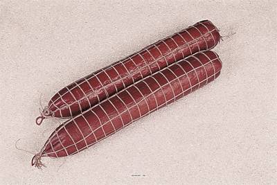 Saucissons fumés factices x2 L 450x65 mm plastique soufflé