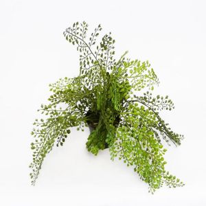 Adiantum plante verte factice dans un pot D 45 cm tres originale