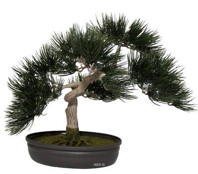Bonsai factice Angel Pinus H 44 cm Finition mousse