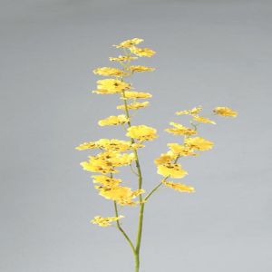 Orchidee Oncidium  H 80 cm 3 ramures fleurs lumineuses