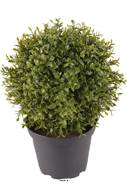 Myrte artificielle en pot belle et rare feuilles plastique H15cm D14cm