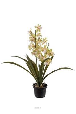 Orchidée Cymbidium factice en pot, H 45 cm, Crème vert