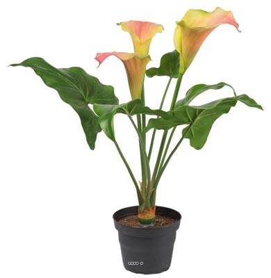 Calla factice en pot, 3 fleurs, H 40 cm D 34 cm, Rose-orange