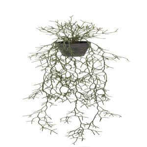 Plante verte, Rhipsalis cereuscula retombant factice en pot, L 100 cm, D 28 cm