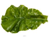 Feuille de salade verte laitue en latex de haute qualité – Ultra-réaliste, 16 × 10 cm, 9 g