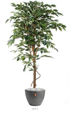 Ficus Benjamina artificiel Vert grande feuille 1 tronc naturel en pot tronc naturel H 120 cm Vert