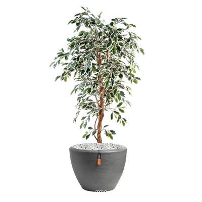 Ficus Benjamina factice Panache grande feuille 1 tronc naturel en pot tronc naturel H 120 cm Blanc-v