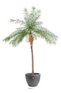 Palmier Phoenix factice H 190 cm D 150 cm en pot