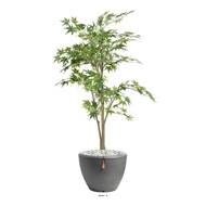 Aralia Arbre factice H 150 cm Vert