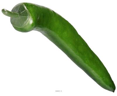 Piment vert factice L 15 cm D 2 cm touché réel