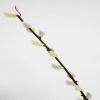 Branche de 22 chatons de saule artificiels H 87 cm superbe