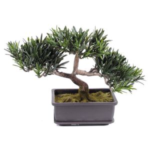 Bonsai factice Pin Podocarpus H 23 cm