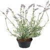 Lavande factice dans un pot H 40 cm 9 fleurs