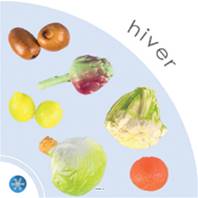 Lot 11 légumes et fruits d'Hiver factices plastique soufflé