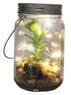 Plante grasse factice cactee en pot de verre et Guirlande Led Type D