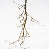 Branche liane ramifiee factice L 130 cm Brune mousse PU arme