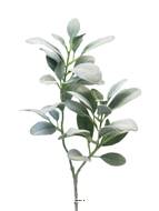 Branchage de sauge artificielle, H 71 cm Vert - BEST