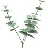 Eucalyptus factice en branche H 60 cm