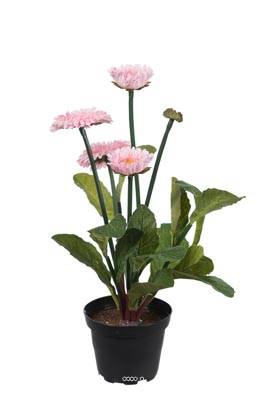 Paquerettes artificielles en pot, 4 fleurs, H 30 cm, Rose pâle
