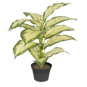 Dieffenbachia factice en pot H 40 cm, D 35 cm