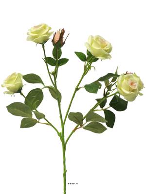 Roses factices en branche, 5 têtes, H 68 cm, D 40 cm, Crème vert
