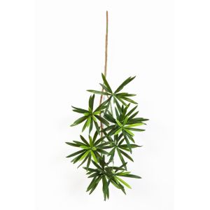 Podocarpus factice en piquet 137 feuilles, H 53 cm Vert