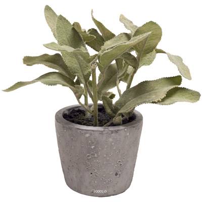 Herbe aromatique artificielle Sauge H 17 cm, D 16cm