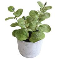 Herbe aromatique factice Menthe H 17 cm D 11cm pot Béton