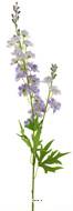 Tige de Delphinium poupre-blanc H 85 cm 