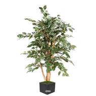 Ficus Banjamina eco semi naturel H150 cm factice en pot
