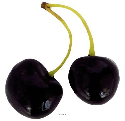 Cerise Burlat par paire factice H 7,5 cm touché réel