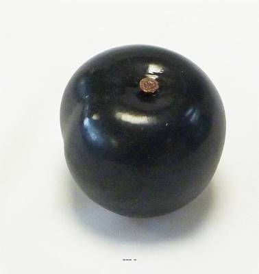 Prune noire factice D 6 cm touché réel