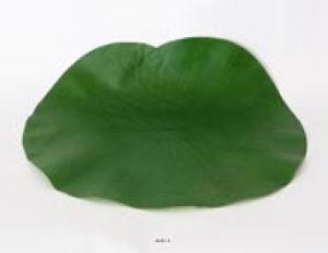 Lotus Nenuphar sous assiette Vert D 29 cm decoration
