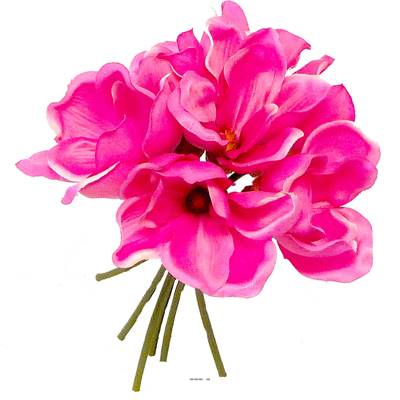 Bouquet de magnolias artificiels Fuchsia 7 tetes Hauteur 24 cm