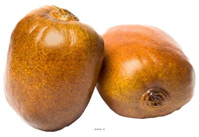 Kiwis factices x2 D 65x70 mm plastique soufflé