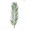 Feuille de palmier Phoenix artificielle en tergal H 220 cm Vert