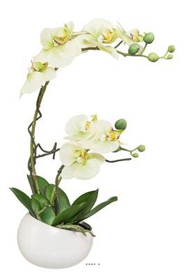 Orchidee factice 2 hampes en coupe ceramique H 45 cm toucher reel Crème vert