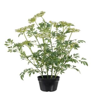Trachélie en fleurs factice en pot, H 100 cm et D 70 cm